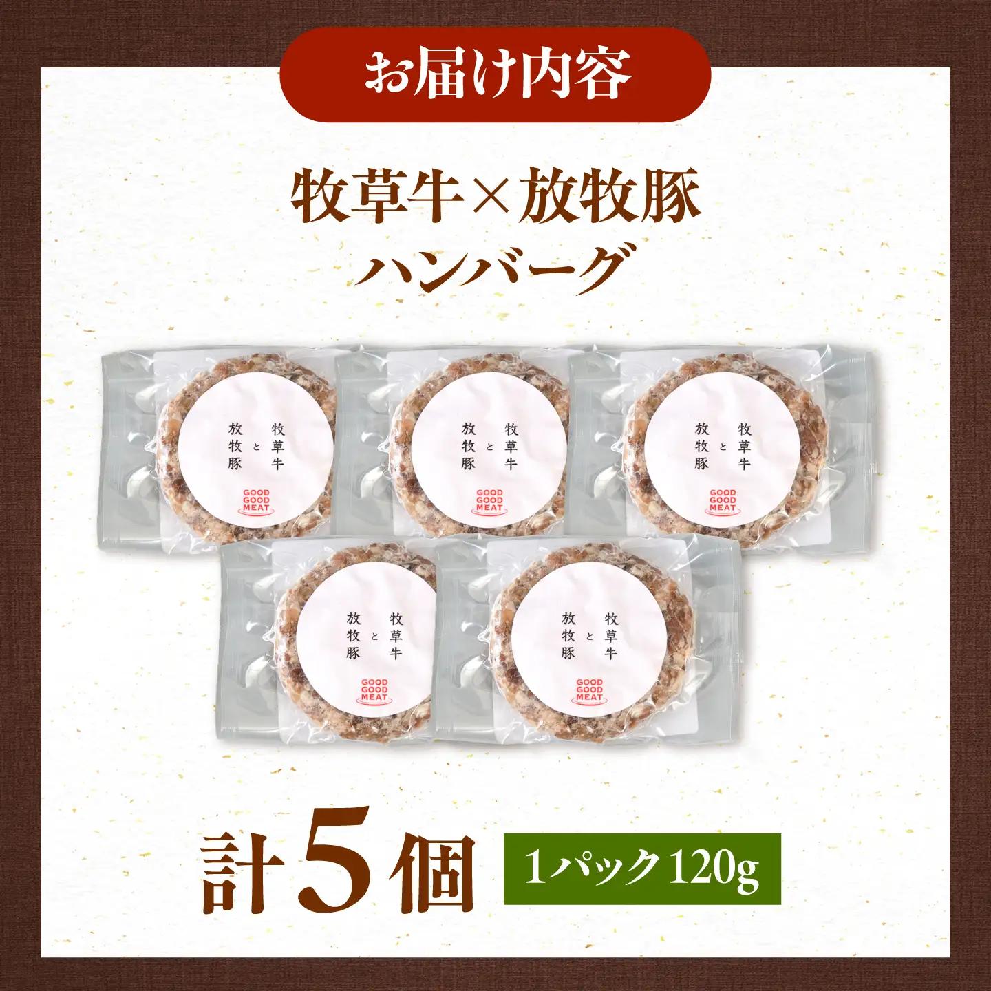 【全3回定期便】　【牧草牛×放牧豚】ハンバーグ 5個 牛肉 豚肉 小分け 冷凍 北海道 [AXBP027]