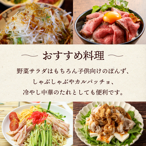 地元で愛される調味料！魔法の玉ねぎドレッシングセット 計5本(魔法の玉ねぎドレッシング400ｇ×5本)_K012-010
