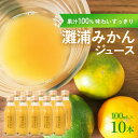 【ふるさと納税】すっきりした味わいの灘浦みかん果汁100％飲料10本セット | フルーツ みかんジュース 柑橘 ストレート ジュース 温州みかん ミカン 蜜柑 小粒 酸っぱい 果汁 100% 瓶 おすすめ ギフト お取り寄せ 農家応援 富山 氷見 灘浦