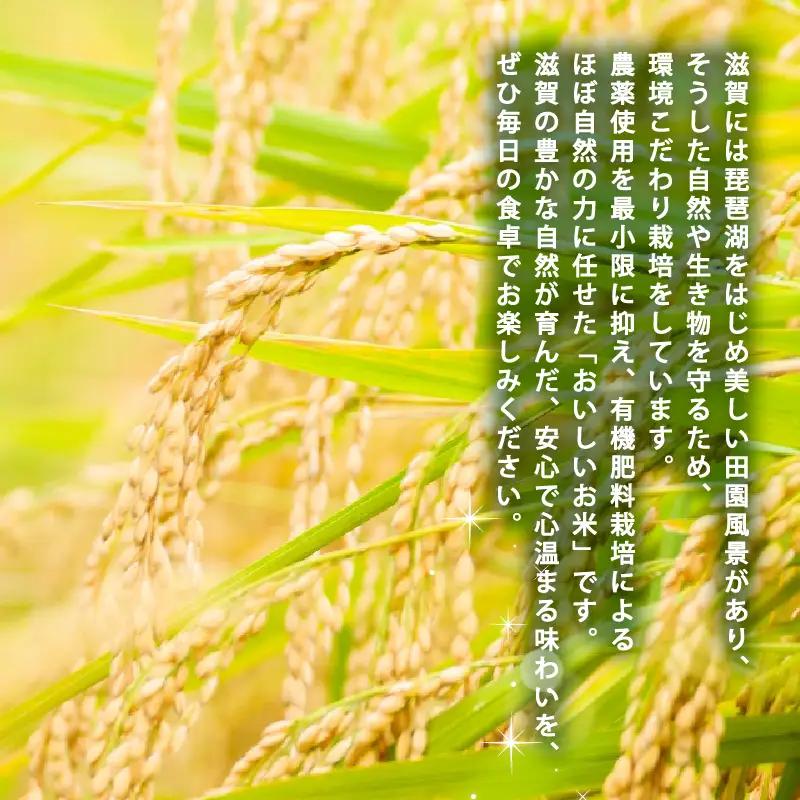 にじのきらめき 10kg 白米 お米 令和8年産 にじのきらめき