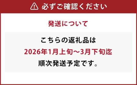 吉次いちご 24～33粒 700g以上【2026年1月上旬～3月下旬迄順次発送予定】果物 フルーツ イチゴ 苺