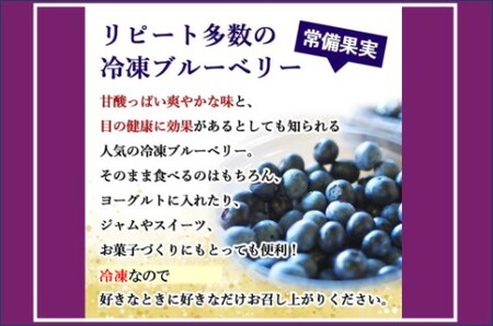 【７月以降順次発送】 冷凍ブルーベリー 1kg ブルーベリー ぶるーべりー フルーツ 果物 果実 産地直送 AS-2246