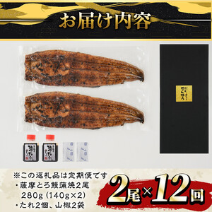 【定期便】薩摩とろ鰻蒲焼二尾280g（140g×2）【12ヶ月】 2176