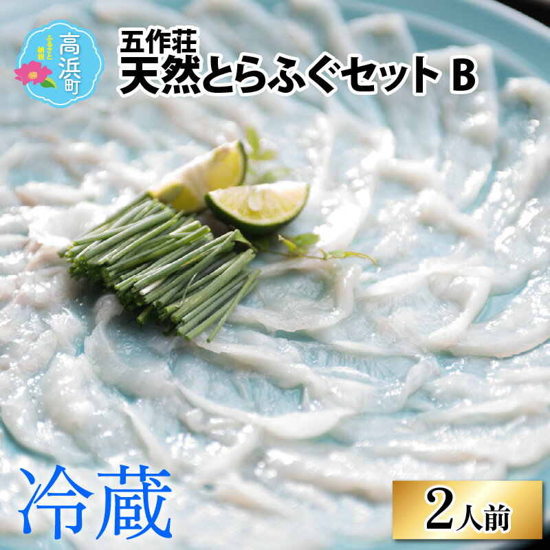 【ふるさと納税】【先行予約】【福井県産 天然とらふぐ】五作荘 天然とらふぐセットB 2人前｜ふぐ てっさ てっちり ふぐ刺し ふぐ鍋 福の子 薄造り 冷蔵 国産 低カロリー ギフト 贈り物 送料無料 [F-008001]