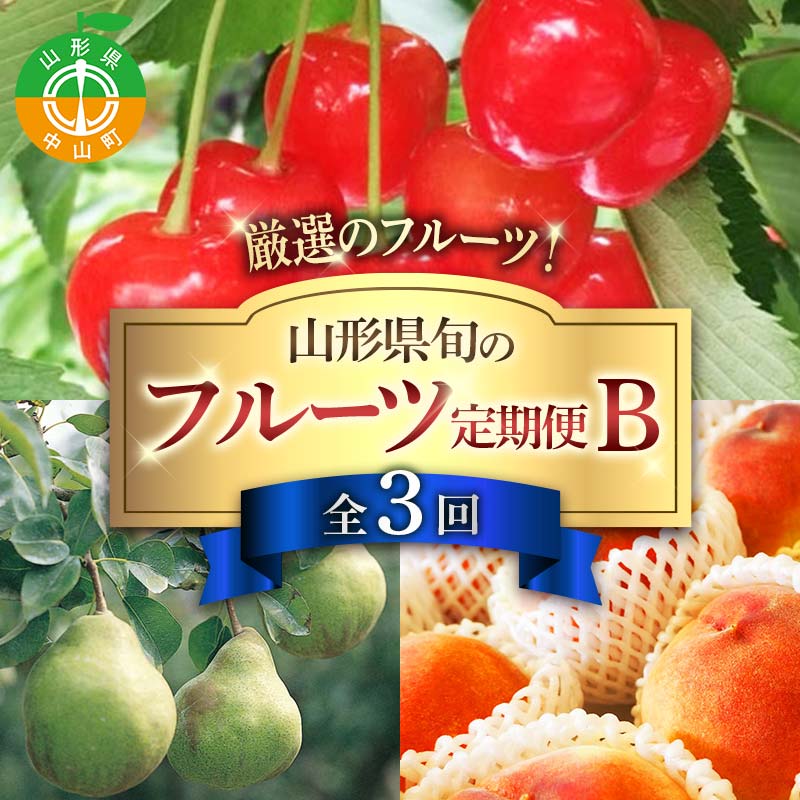 【ふるさと納税】令和8年6月発送開始 山形県 厳選のフルーツ！ 山形県旬のフルーツ定期便B全3回 佐藤錦 白桃 ラフランス 期間限定 数量限定 山形県産 サクランボ 桃 梨 フルーツ 果物 くだもの 贈答 F4A-0969