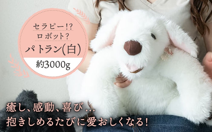 
犬型セラピー？！ロボット？パトランの白（通称：シロラン）犬 ぬいぐるみ 糸島市 / 科学工房未來 [AYI003]
