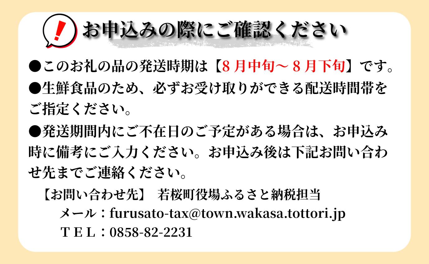 【先行予約】秋栄（あきばえ）3kg [208-W8]