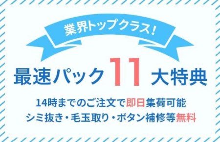 【せんたく便】衣類のクリーニング 最速10点パック