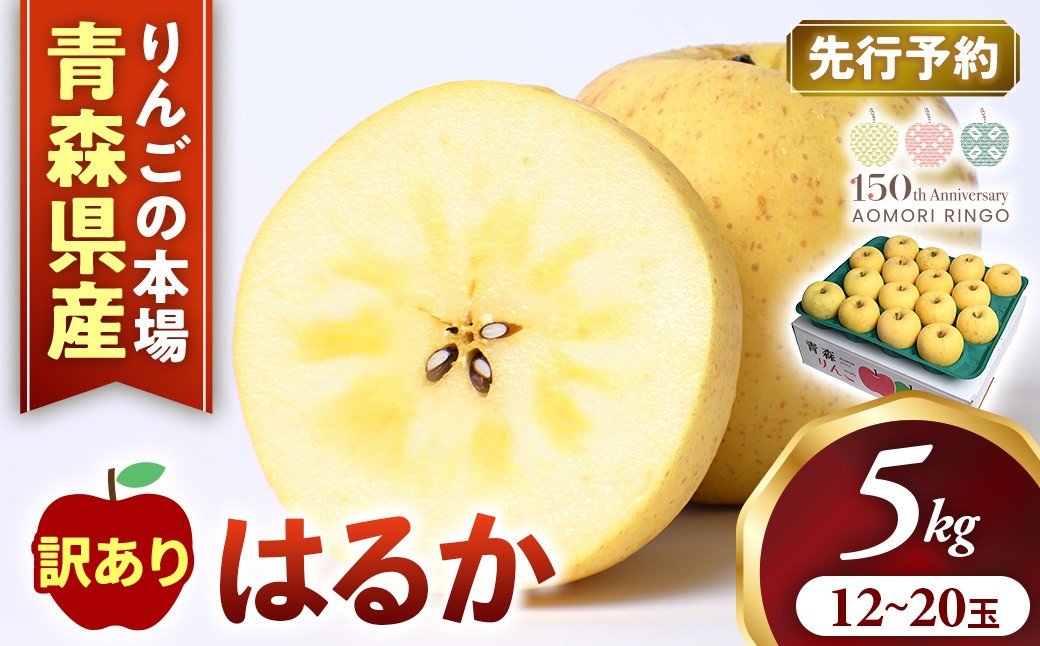 
                  【訳あり】高級りんご【はるか】約5kg（12～20玉）【2025年産】★2025年12月上旬～2026年1月下旬頃まで発送予定★ りんご 林檎 リンゴ 訳あり はるか 国産 フルーツ 果物 希少 青森県 三戸町 H3022 AK-18-022
                