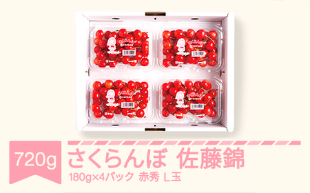 先行予約 さくらんぼ 佐藤錦 赤秀 L玉 180g×4パック 2026年産 令和8年産 山形県産 mm-snplx800
