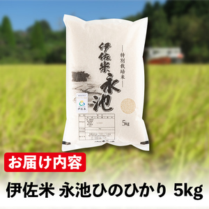 Z7-01 令和5年産 特別栽培米 永池ひのひかり(5kg)鹿児島でも極良食味のお米が出来る永池地区で作ったお米！九州米サミット食味コンテスト最優秀賞2回受賞【エコファーム永池】