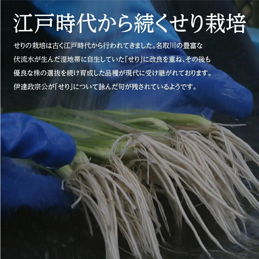 【期間限定】根付き仙台セリ鍋出汁セット（セリ鍋用出汁・スープ付）（700g）6～7人前