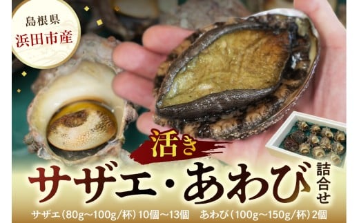 豪華！ 活きサザエ・あわび詰合せ サザエ あわび 海鮮 セット 鮑 冷蔵 貝 魚介 産地直送 贈答 【033_1775】