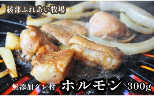 
ホルモン焼き 300g（3～4人前）京都牛と牧場の無添加たれで作るホルモン焼き 牛 牛肉 ホルモン ほるもん ホルモン焼き お土産 BBQ アウトドア パーティー 焼くだけ 簡単 京都 綾部
