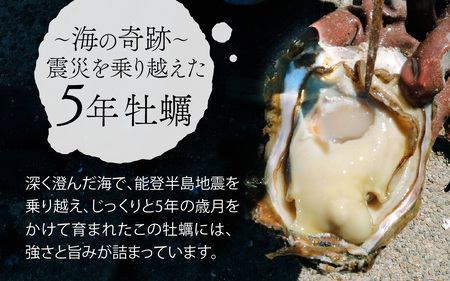 奥能登 松村水産の岩牡蠣 約3kg【殻付き・加熱用】 【2025年6月中旬より順次発送】/ 魚介類 海鮮 かき 