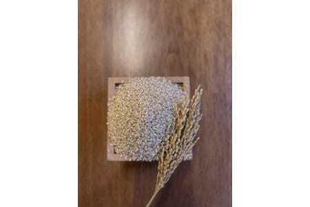 令和7年産 特選米 コシヒカリ玄米 5kg MK8