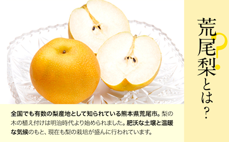 ＜ひるおびで紹介されました＞2026年先行予約 梨 荒尾梨 約4.5～5kg（8～22玉） なし フルーツ 果物 旬 《2026年8月下旬‐11月中旬頃出荷》熊本県 荒尾市 旬の梨 幸水 秋麗 豊水 