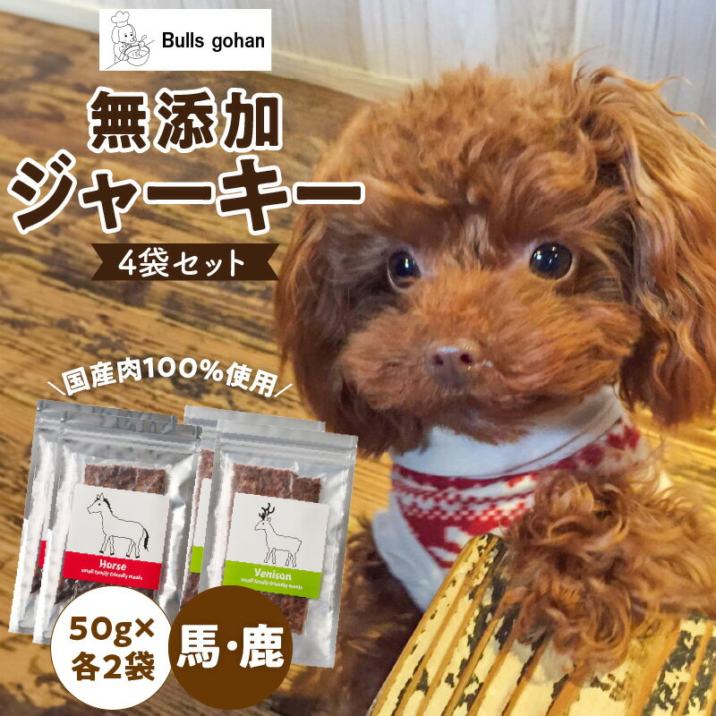 【ふるさと納税】馬肉 鹿肉 ジャーキー 無添加 各50g×4袋 厳選 国産 肉 手作り 鮮度 抜群 こだわり ウエット タイプ 高カロリー防止 ブルズごはん ペット ペットフード ドッグフード 犬用 ワンちゃん用 愛犬用 おやつ 冷凍 お取り寄せ 福岡県 久留米市 送料無料