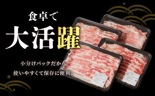 宮崎県産豚バラしゃぶしゃぶ用(計1kg) 肉 豚 豚肉 おかず 国産_T009-0133
