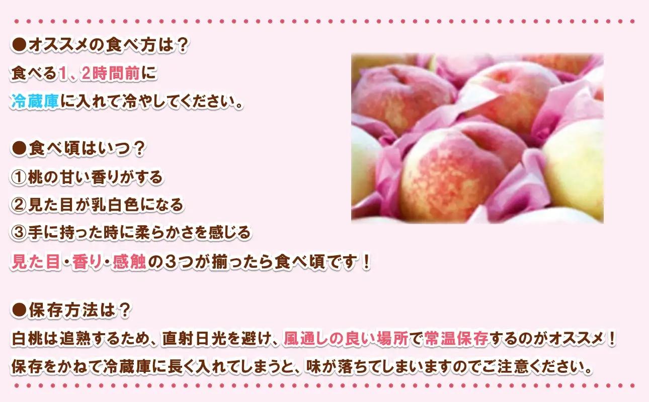 【2027年発送分・先行予約開始！】岡山県産 白桃 最高ランク！「ロイヤル」約2kg（5～7玉）（令和9年7月以降発送）【桃】