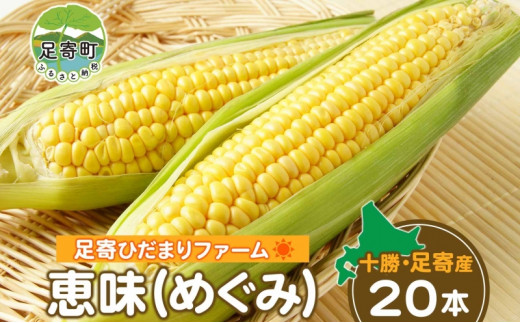 
北海道 とうもろこし 恵味 20本 トウモロコシ とうきび コーン もろこし イエローコーン 旬 甘い 生食 野菜 農作物 野菜 十勝 足寄ひだまりファーム 送料無料
