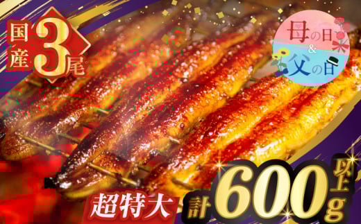 【父の日までにお届け】うなぎ蒲焼特大3尾(さんしょう・たれ付き)計600g以上 鰻 魚 魚介 加工品 国産_T026-002-FA