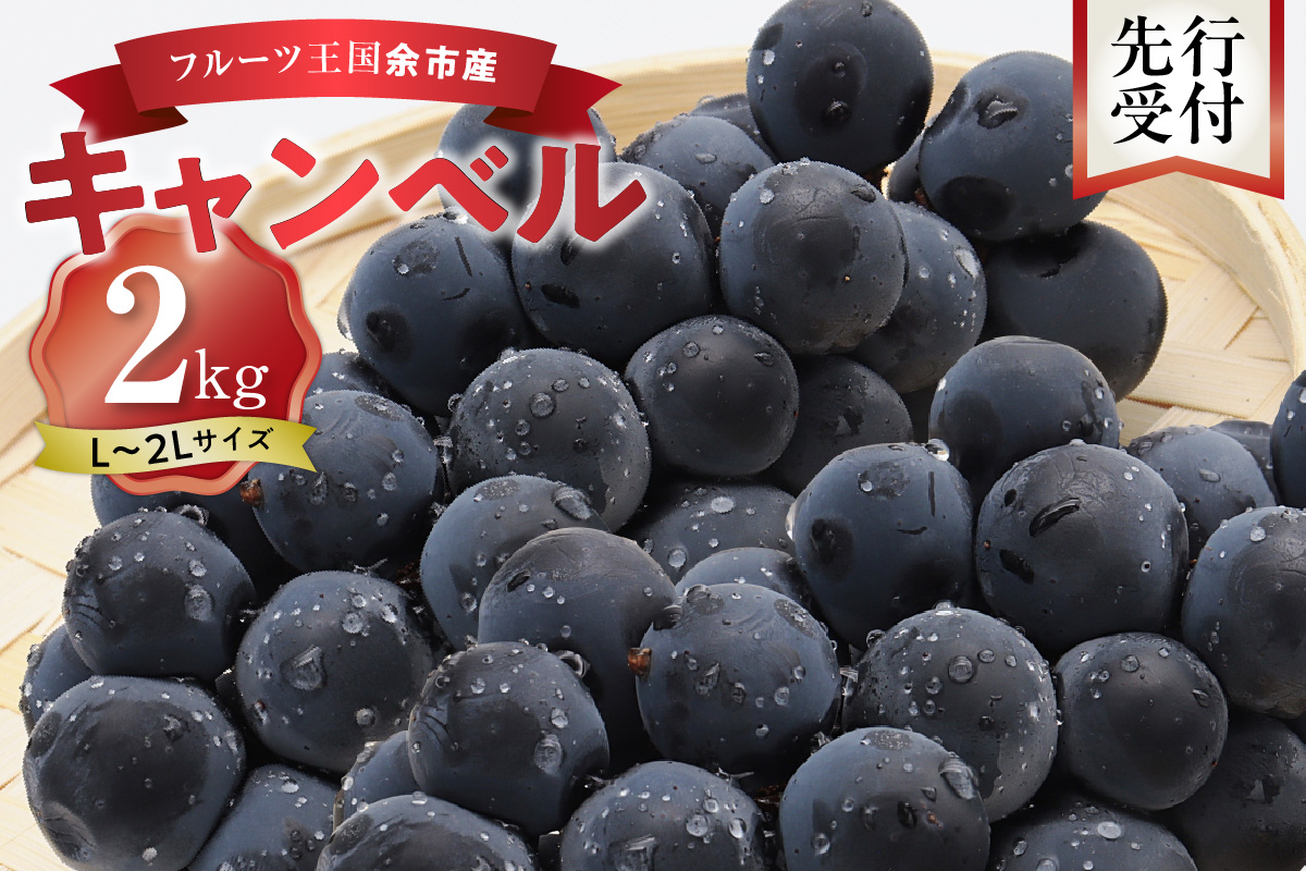 【先行予約：2026年9月中旬以降発送】フルーツ王国余市産「キャンベル」2kg【ニトリ観光果樹園】_Y074-0124