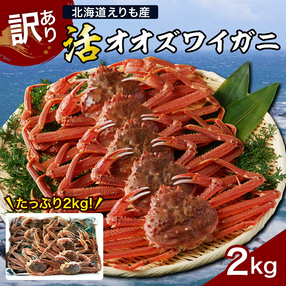 【ふるさと納税】＼ レビューキャンペーン ／ 訳あり 活 オオズワイガニ 姿 2kg 冷蔵発送 / おおずわいがに 大ズワイ 大ズワイガニ ズワイガニ ズワイ 蟹 カニ かに 魚介類 魚介 海鮮 海の幸 海産物 大容量 訳アリ 姿 国産 北海道産 北海道 えりも町