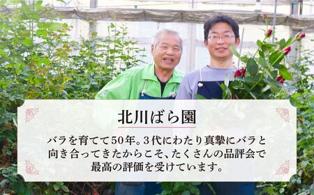＜配送エリア限定・着日指定必須＞ 生産農家直送 バラ花束 新鮮 Mix 約11～13本  埼玉県 上尾市