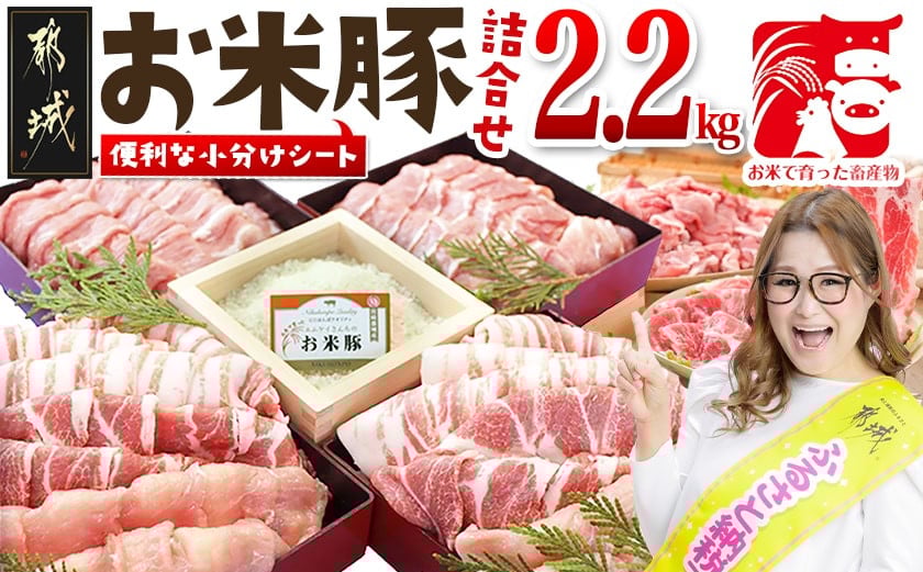 
            お米豚2.2kgセット_14-3101_(都城市) 豚肉 豚ロース 豚こま切れ 豚バラ肉 豚肩ロース ブランド豚 小分け スライス肉  ギャル曽根さんおすすめの豚肉返礼品
          