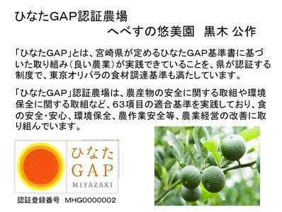 【期間限定発送】 へべす ひなたGAP認定 ふぞろい 5kg
