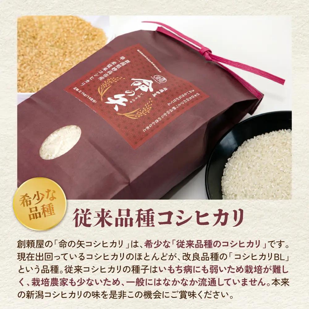 先行予約 令和8年産 越後妙高命の矢 コシヒカリ 5.1kg 妙高産