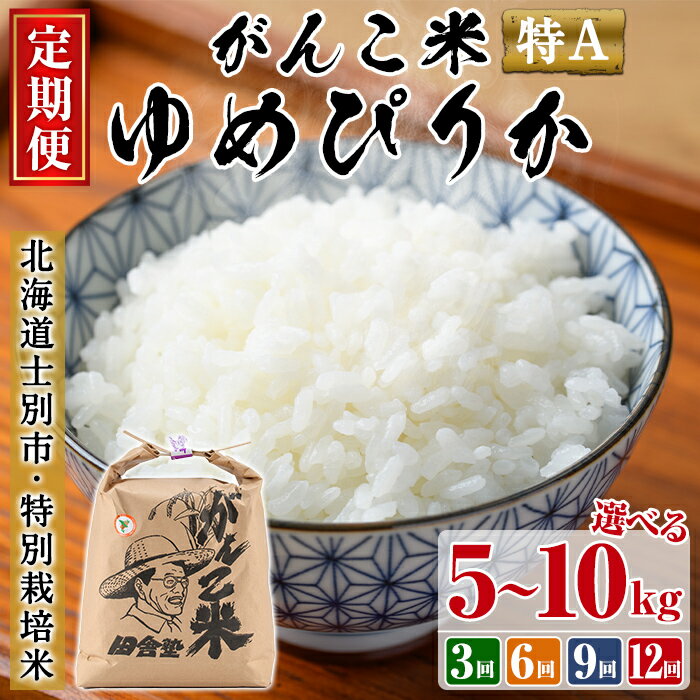【ふるさと納税】＜令和7年産 先行予約！＞《選べる定期便！》田舎塾特別栽培米「がんこ米ゆめぴりか」(5kg~10kg・3回 / 6回 / 9回 / 12回) 【2025年10月中旬以降順次発送】 米 お米 白米 北海道産 北海道米 ゆめぴりか 特A 一等級 ごはん おこめ コメ 定期便【田舎塾】