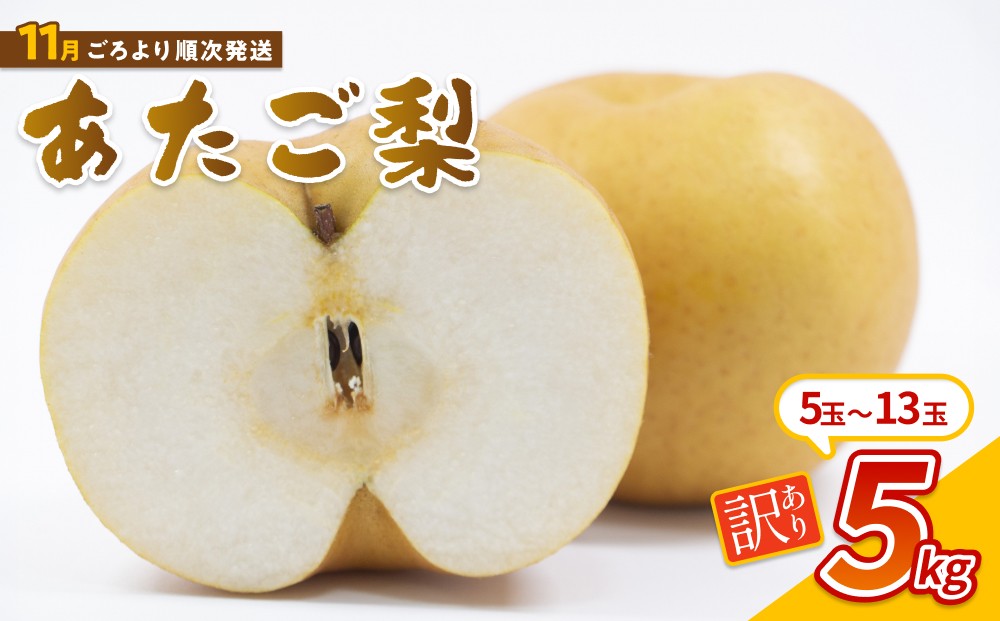 
                  【先行予約】（訳あり）中野農園 梨 ”あたご梨” 5kg箱｜鳥取 岩美 梨 なし ナシ 赤梨 果物 フルーツ ※お届けは2026年11月以降【41082】
                