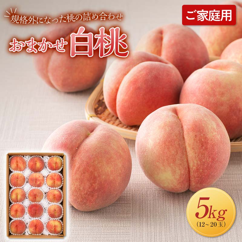 【ふるさと納税】 ≪2026年先行予約≫ご家庭用 山形県産 おまかせ 白桃 約5kg(12～20玉) 2026年8月上旬から順次発送 夏果実 果実 果物 くだもの フルーツ 桃 もも ピーチ 家庭用 自宅用 訳あり 農業者 農家 支援品 産地直送 山形県 西川町 月山 FYN6-593var