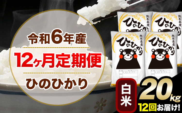 令和6年産【12ヶ月定期便】 白米 ひのひかり 20kg 5kg×4袋《お申込み翌月から出荷開始》熊本県産 単一原料米 南阿蘇村 ひのひかり 送料無料 熊本県 米 コメ こめ 国産---hn6tei_702000_20kg_mo12_mna_h---