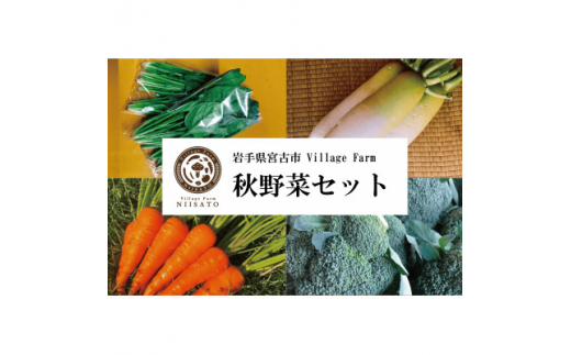 
＜Village Farm＞秋野菜セット ※9月～11月発送【1290620】
