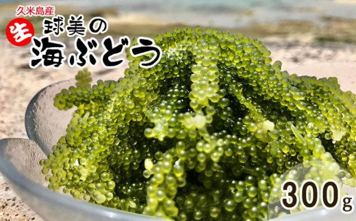 
球美の”生”海ぶどう（100g×3個）
