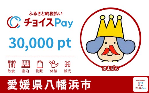 
            八幡浜市チョイスPay 30,000pt【会員限定のお礼の品】
          