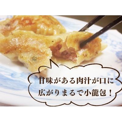 ふるさと納税 石巻市 餃子 まるで小籠包!雲雀餃子 30個(10個×3)ニンニク不使用 |  | 01