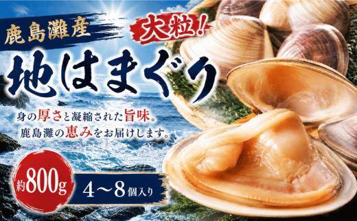 はまぐり 800g 10000円 地はまぐり 鹿島灘産 大粒 天然 ブランド 肉厚 BBQ 4~8個 貝 貝類 かい 魚介類 ハマグリ 水産加工品 水産品 海産物 出汁 だし 二枚貝 味噌汁 酒蒸し お吸い物 しぐれ煮 網焼き バーベキュー 魚貝 冷蔵 潮汁 うしお汁 雑煮 炊き込みご飯 肴 鹿島灘 茨城県 鹿嶋市