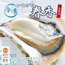 【ふるさと納税】【いわがき春香 殻付きSサイズ 5個】岩牡蠣 生食可 冷凍 牡蛎 牡蠣 かき カキ 岩牡蠣 いわがき 冷凍 お歳暮