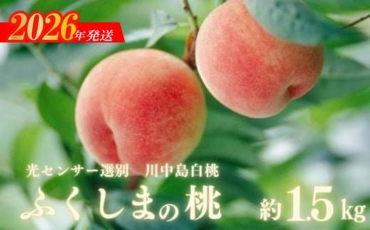 
            No.2920ふくしまの桃「光センサー選別川中島白桃」約1.5kg【2026年発送　先行予約】
          