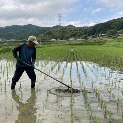 ふるさと納税 東温市 〈坂本自然農場 穂田琉〉JINEN:にこまる　精米2kg |  | 02