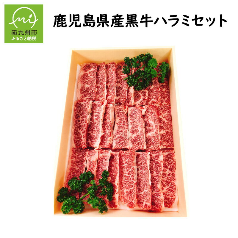 【ふるさと納税】鹿児島県産 黒毛和牛 ハラミ セット 300g 鹿児島県産黒牛 黒牛 クセが少ない 食べやすい 和牛 牛肉 肉 旨味 焼肉 バーベキュー 冷凍 食品 食べ物 国産 鹿児島県 南九州市 お取り寄せ ギフト お取り寄せグルメ 肉匠いづみ屋 送料無料