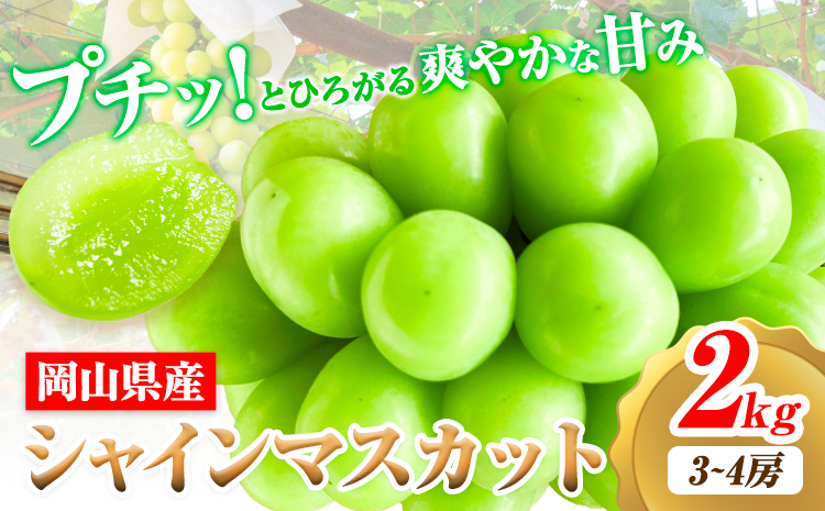 【2026年先行予約】シャインマスカット 岡山県産 2kg 3房 ~ 4房《2026年9月上旬-9月中旬頃出荷》ひらた農園 マスカット 送料無料 岡山県 浅口市 ---124_2001_9a9b_25_25000_2kg---st-p