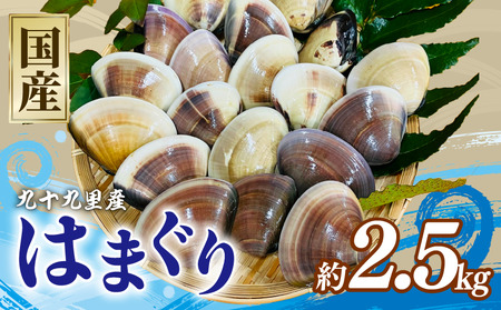 ぜんなはまぐり 約2.5kg (約500g × 5P) 液体冷凍 九十九里 ﾊﾏｸﾞﾘ ﾊﾏｸﾞﾘ ﾊﾏｸﾞﾘ 蛤 蛤 蛤 蛤 蛤
