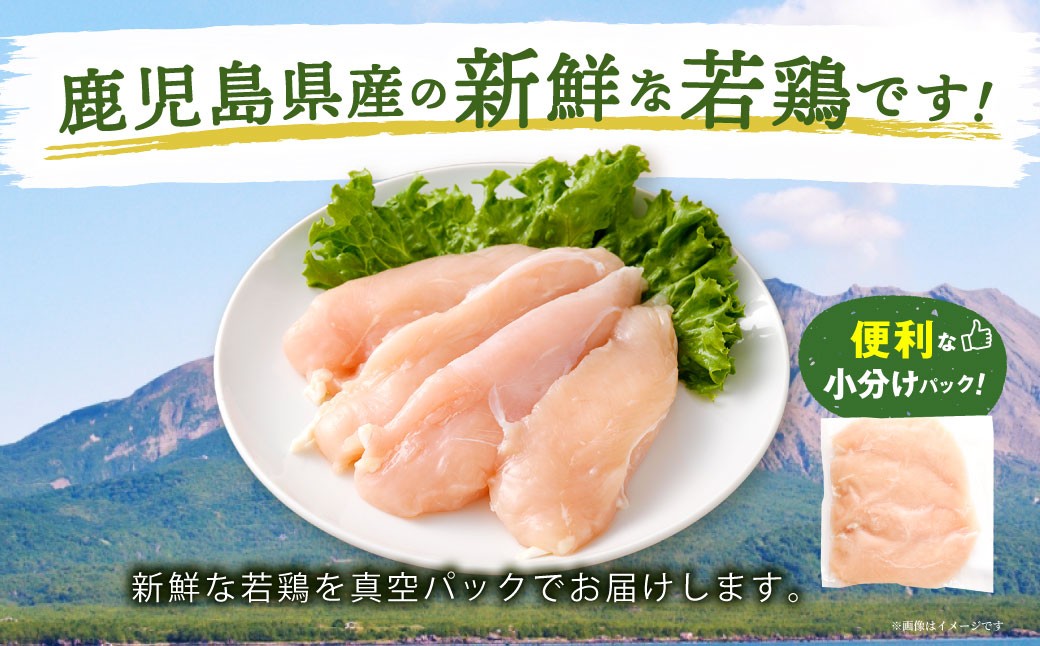 鹿児島県産 若鶏 ささみ 約2.5kg セット カット 小分け 鶏肉 冷凍 AS-2217