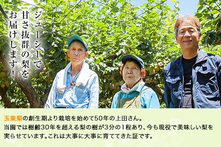 上田果樹園の元祖！玉東梨(旬の品種をお届けします)約5kg(8玉-16玉) 《7月下旬-9月下旬頃出荷》 ｜ブランド梨 人気梨 特産品梨 熊本県梨 玉東町梨 大人気返礼品