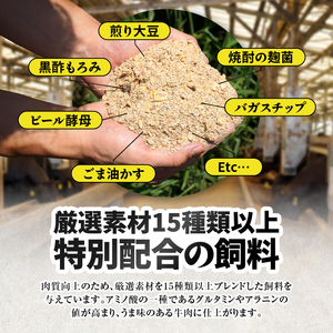 2265 鰻も牛もどっちもイエェェェーイ！セット1 KN050-003-01 冷凍 肉 魚 黒毛和牛